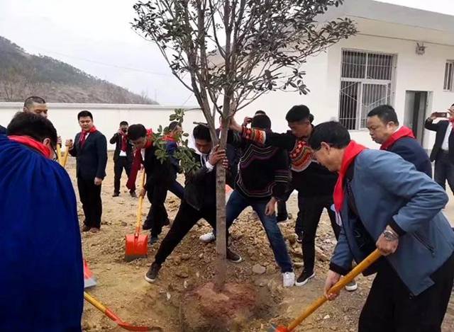 植树现场1.jpg