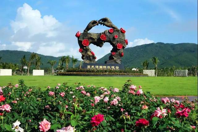 亚龙湾国际玫瑰谷.jpg