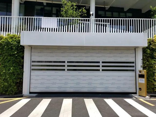 深圳市坪山区竹坑学校快速提升门.jpg